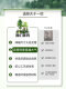 Simulated green plant landscaping combination bonsai interior decoration simulated plant set bedroom living room ornaments living room decoration