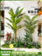 Artificial Plant Landscaping Bonsai Set for Living Room Decoration, Green Plant Combination for Window Display, Home Decor Piece, Ambiance Tree