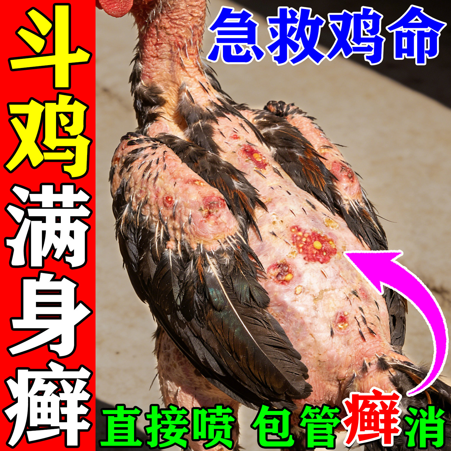 🌟 宠物皮肤病克星,公鸡痘冠癣净神器 🤝-鸟禽保健品-淘宝好物网