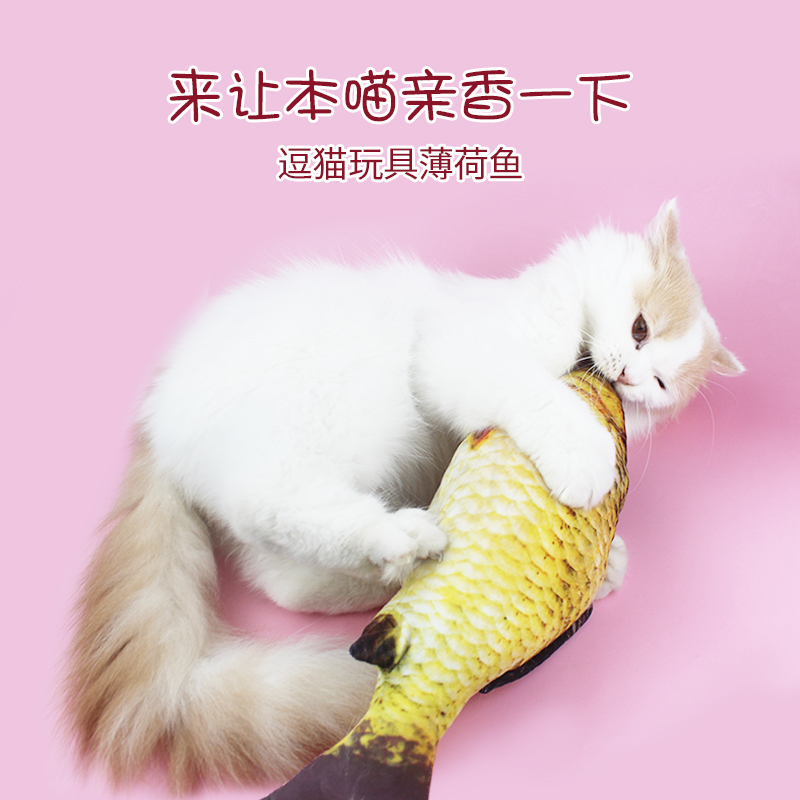 Cat Toy Grilled Small Fish Cat Teasing Cat Cat Grilled Cat Grilled Kitty Cat With Pillow Pet Imitation Crucian 3D kitty supplies-Taobao