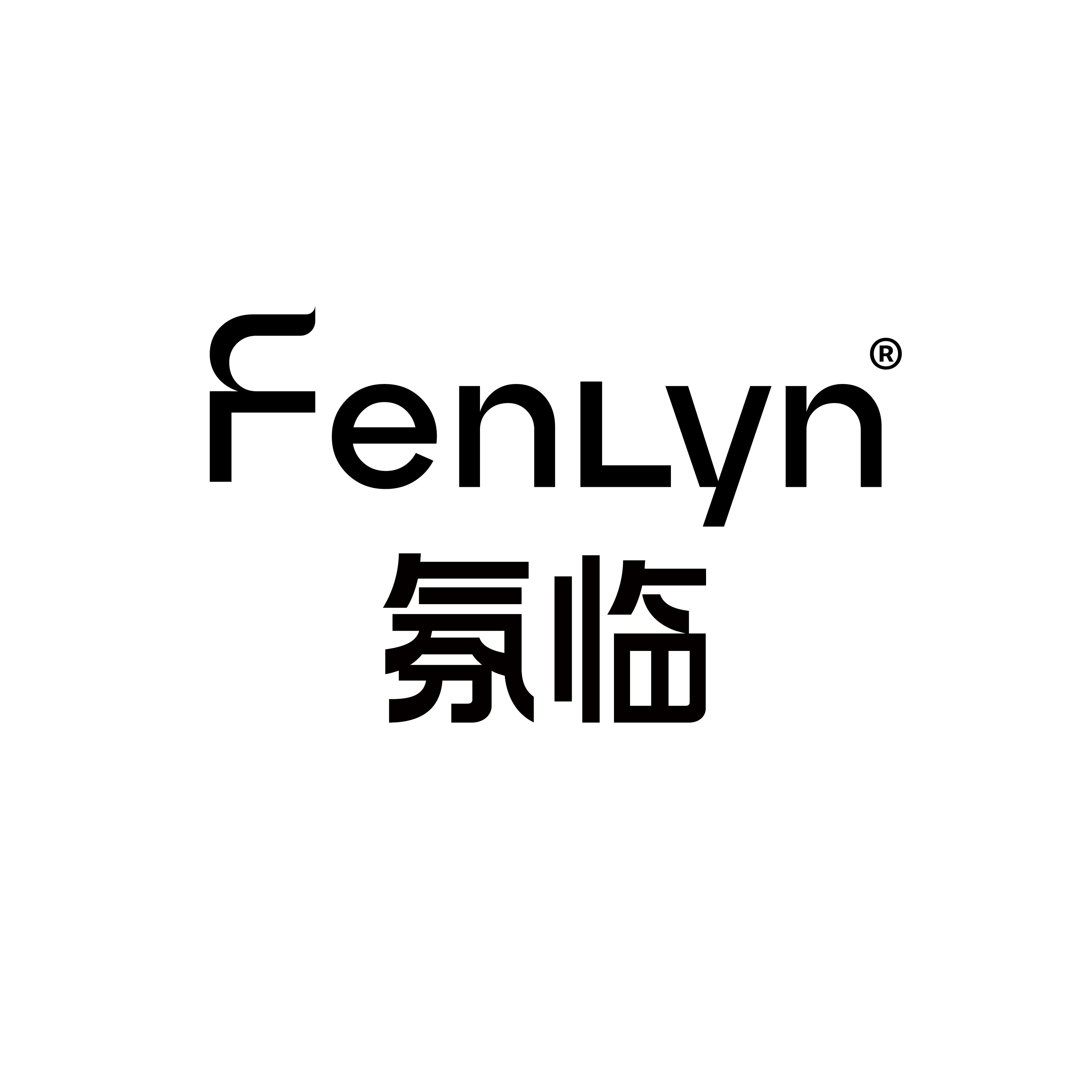 氛临旗舰店