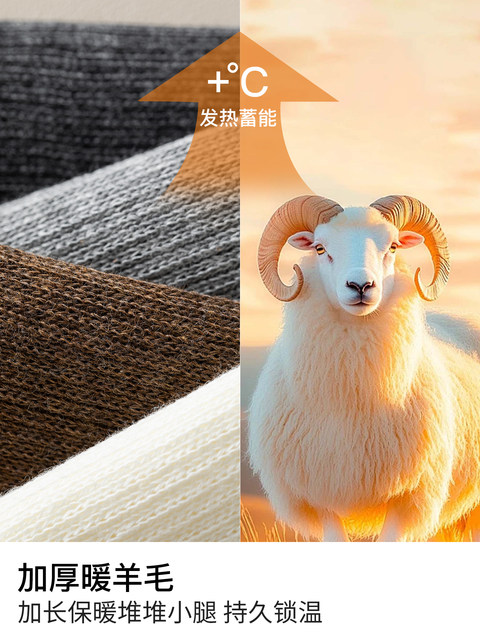 Wool Slouch Socks for Women, Autumn and Winter, Gray, Thickened Calf Socks, Non-Slip, 2025 New Popular Style, Long Tube, Suitable with Loafers