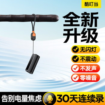 Cool Dingdang Voice Recorder, Small and Portable, Ultra-Long Standby, 2025 New Model, Professional Noise Reduction, Can Convert to Text, Listening Device