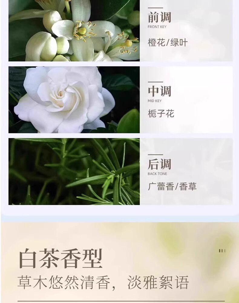 In-Stock Gardenia Flower Scent Car Fragrance, Odor Removal, Long-Lasting Fragrance, High-End Decoration, Car Perfume, Factory Direct Sale