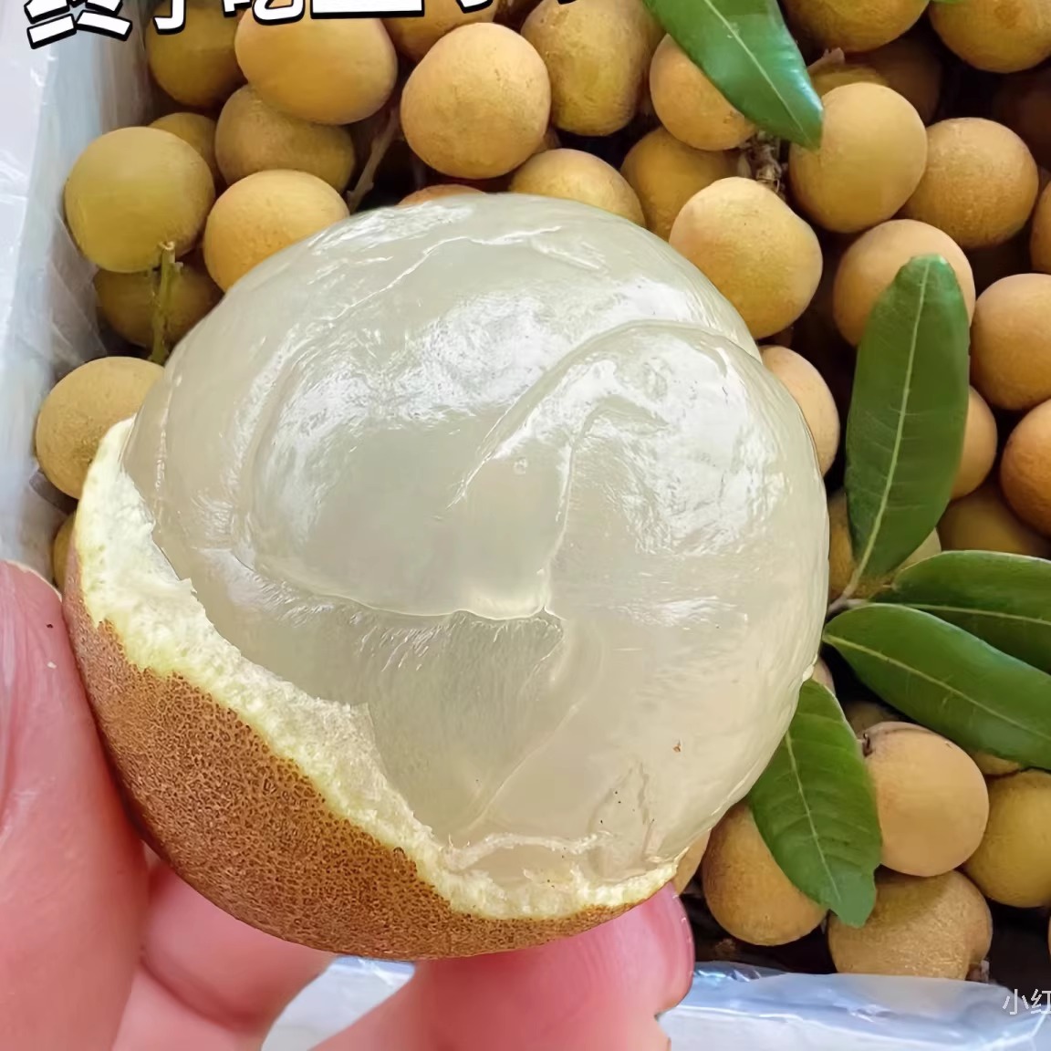 广东石峡储良龙眼：当季新鲜水果，顺丰直达你的味蕾！🍇🍊