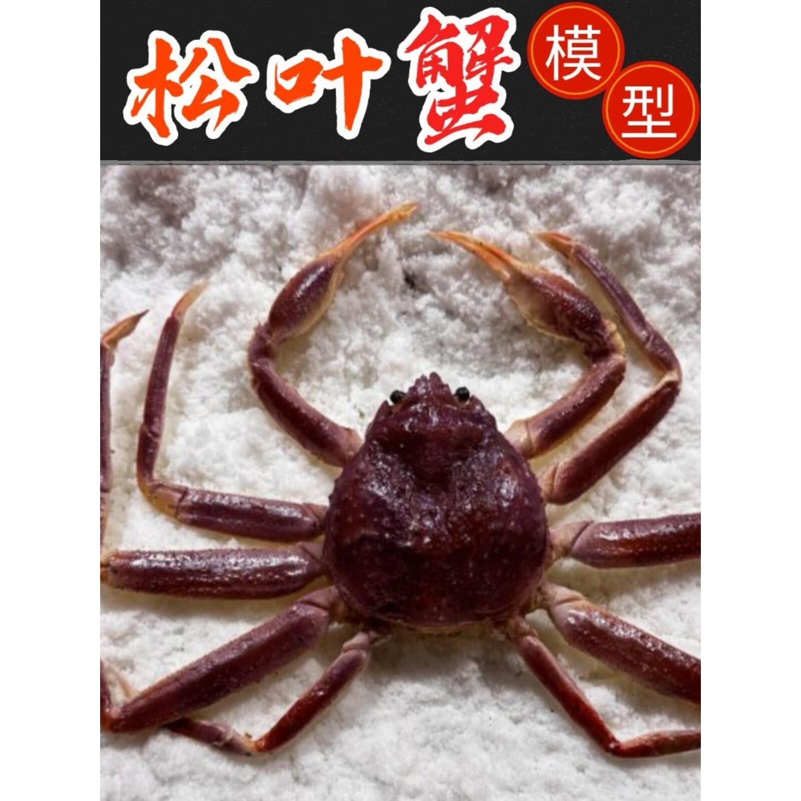 仿真帝王蟹模型能省多少成本？鱼虾蟹贝摆设神器竟成网红店标配！