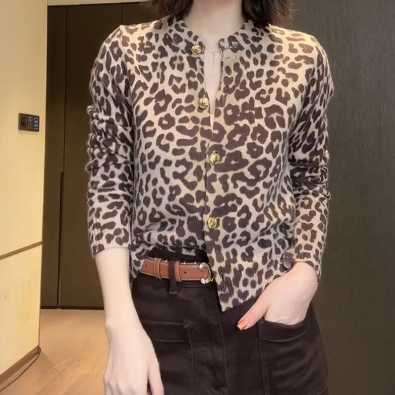 Kingmelnn/Kenmay Leopard Print Knitted Cardigan for Women, Long-Sleeved, High-End, Niche Design, Stylish Top