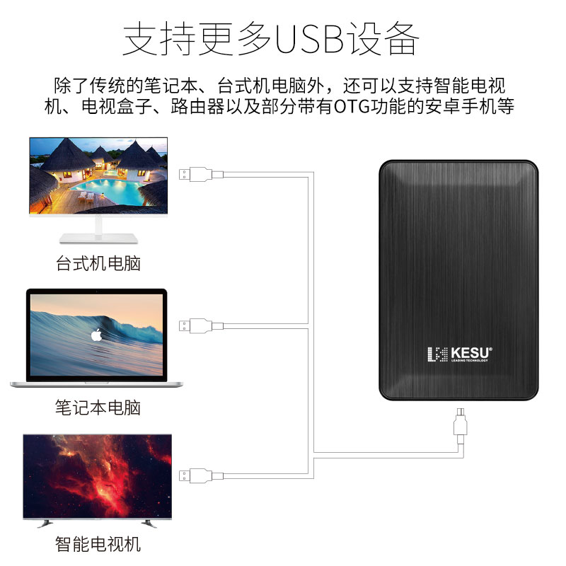 Keshuo Mobile Hard Drive 1t Mobile Phone Computer 2t Hard Drive Mobile High-Speed 320g Encrypted Mechanical Hard Drive 500g