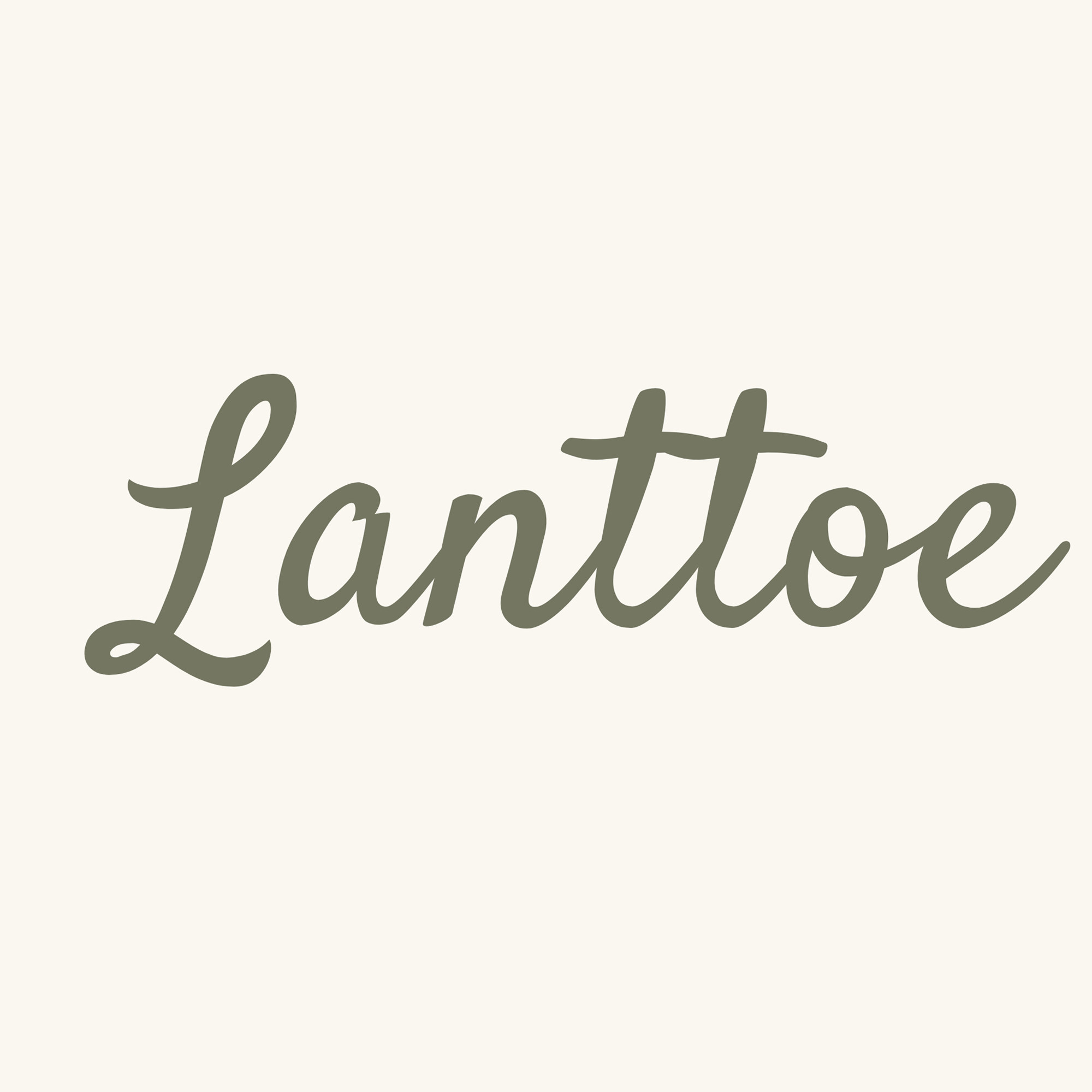 Lanttoe Baby企业店