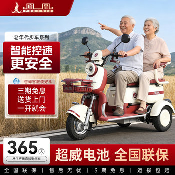 Phoenix 2026 New Model Electric Tricycle, Small Household Mobility Vehicle for the Elderly, Lightweight Electric Vehicle for Picking up and Dropping Off Children