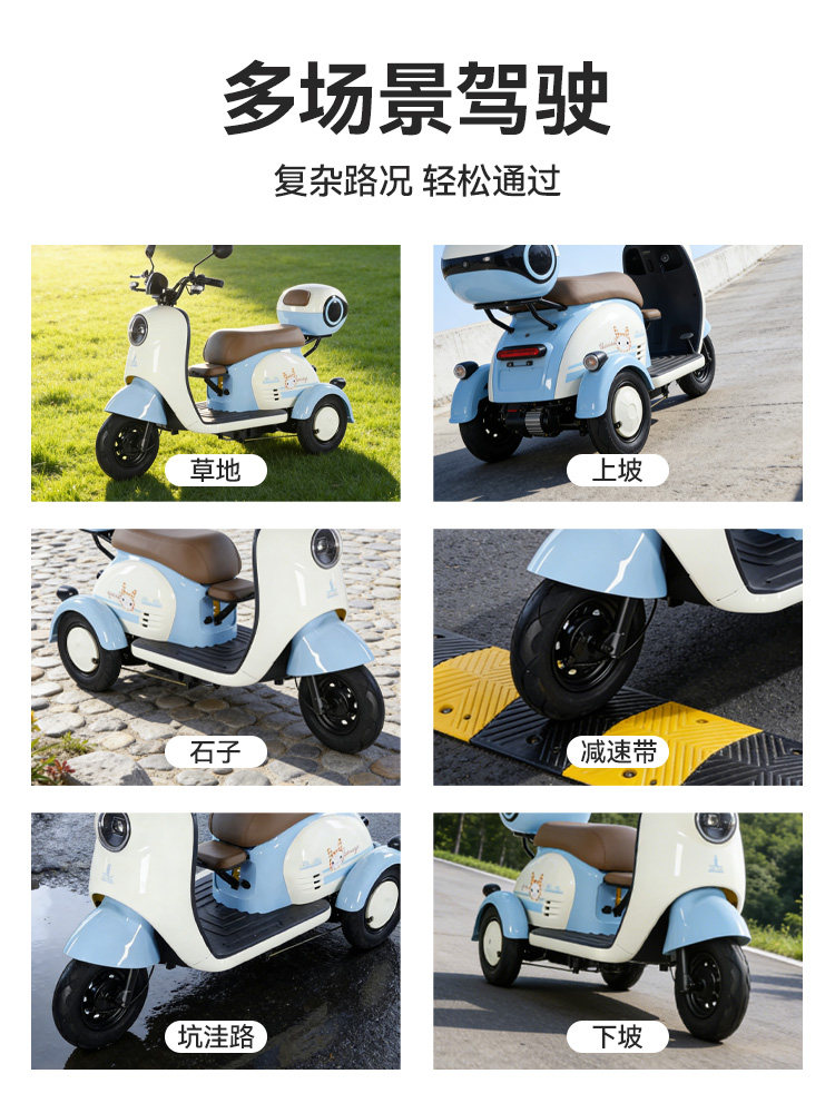Phoenix New Electric Tricycle for Home Use, Small-Sized Mobility Aid for Women and Elderly, Suitable for Picking up and Dropping Off Children, New National Standard Electric Tricycle
