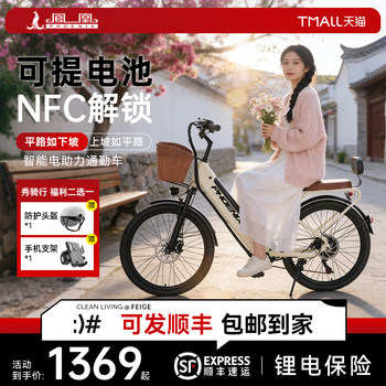 Phoenix Electric Scooter 24inch for Adults, Men and Women, with Detachable Battery, Ultra-Long Range, Commuter Electric Bicycle