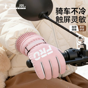 Phoenix Electric Vehicle Gloves Windproof Waterproof Cold-Proof Rainproof Thickened Warm Non-Slip Touchscreen Gloves for Men and Women