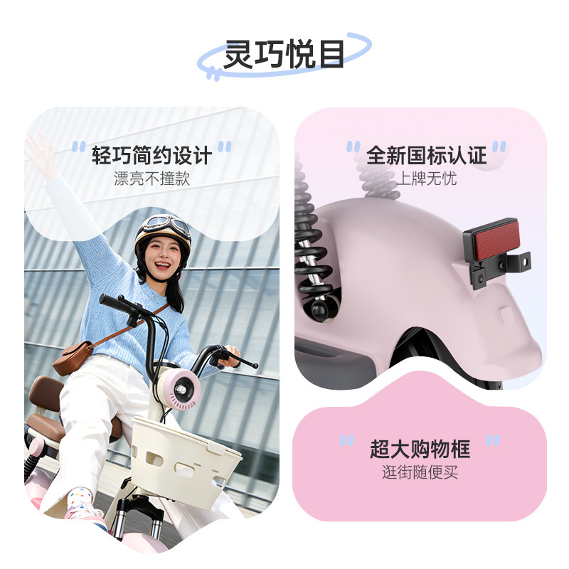 Phoenix 2026 New Model Electric Bike for Women, Small Adult Electric Bicycle, New National Standard Commuting Electric Vehicle with Long Range