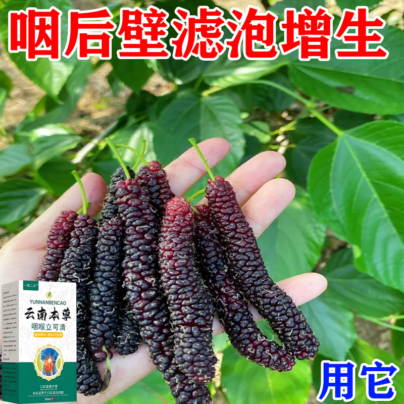 Throat Inflammation, Chronic Throat Inflammation Spray, Special Throat Follicle Hyperplasia Spray, Throat Candy for Relieving Foreign Body Sensation, Topical Spray