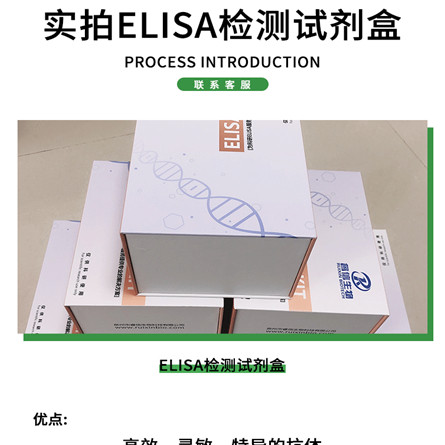 大鼠促黄体激素(LH)酶联免疫吸附测定试剂盒  睿信