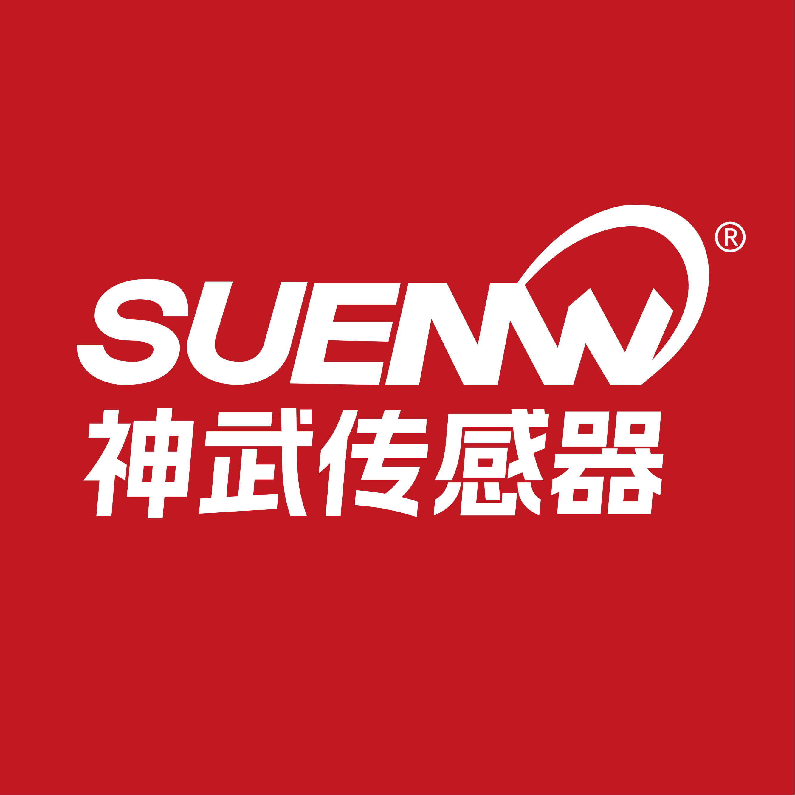 神武传感器厂家直销店