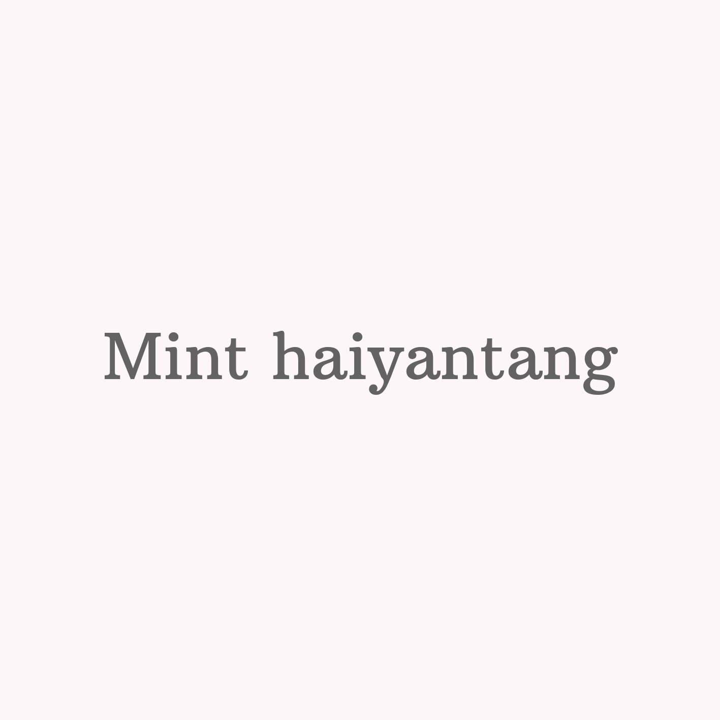 Mint海盐糖