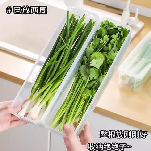 Cilantro and Green Onion Storage Box, Refrigerator Cilantro Whole Stem Preservation Tool, Thickened Version, Noodle and Egg Prep Preservation, Sealed Container