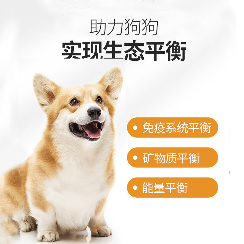 笑谭充电宝厂家
