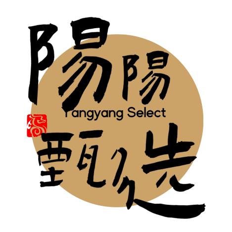 阳阳甄选