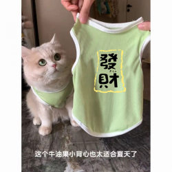 Cat Dog Clothes Spring and Summer Pet Cat Silver Gradual Blue Cat Anti-Hair Breathable Cute Cool Ice Silk Vest