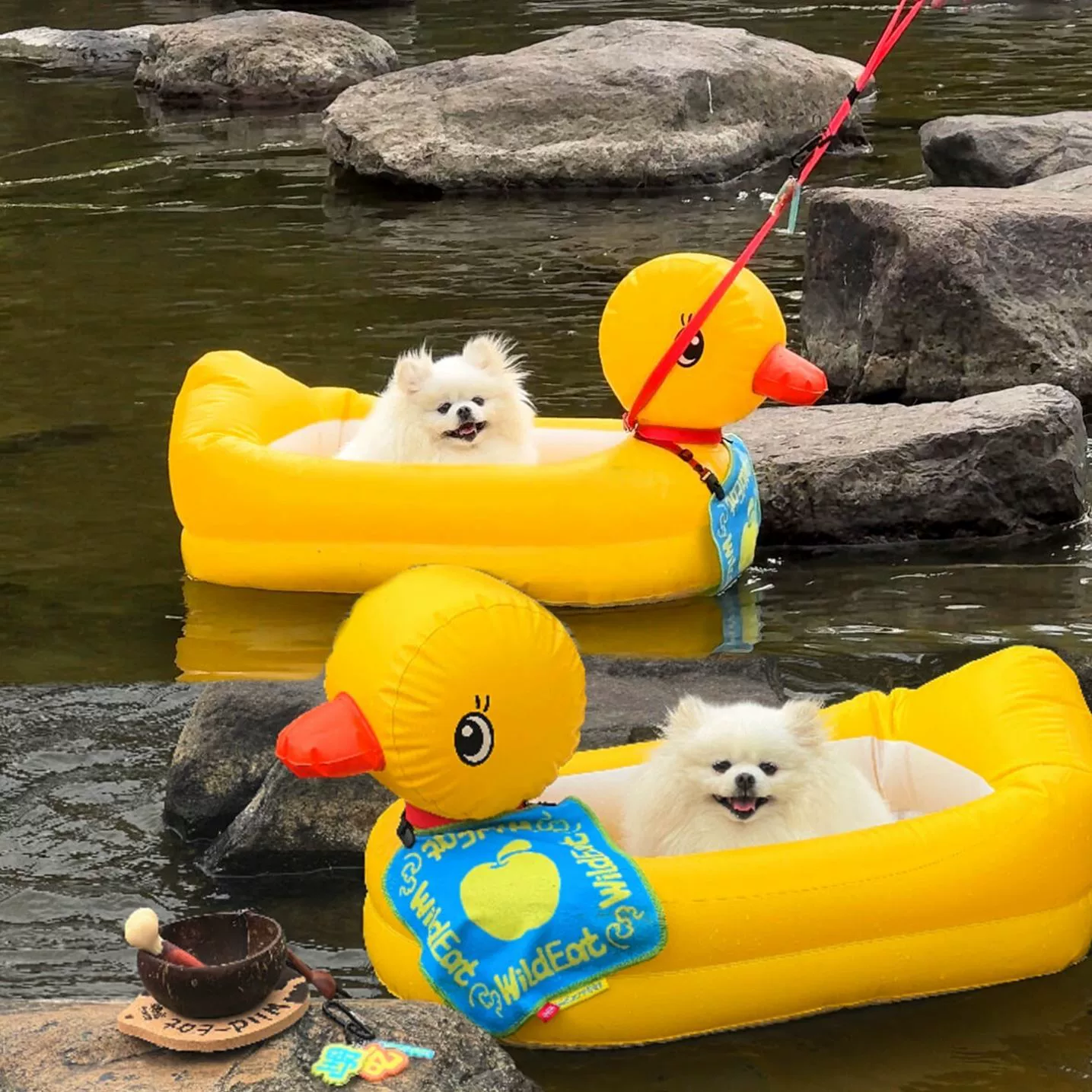 Водный поплавок на руку B.Duck, надувной круг для плавания с ручкой для питомца