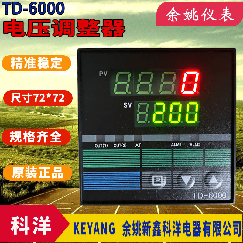 可控硅电压调整器同步表TD-6v000电压同步TD6000电压反馈优质现货