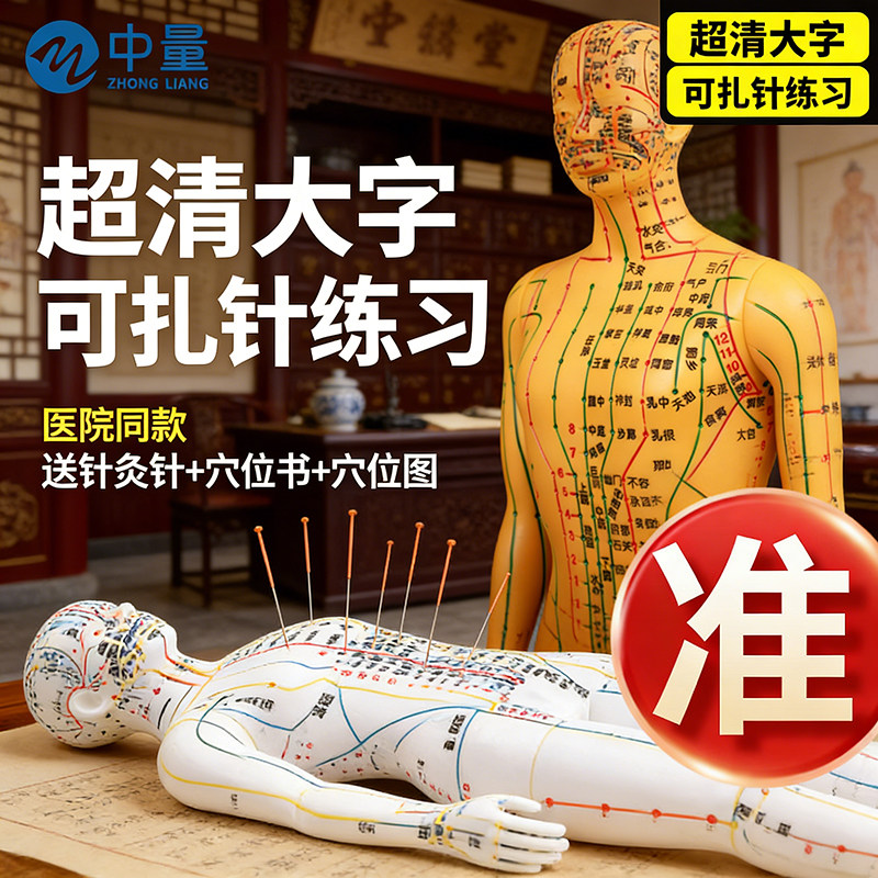 针灸经络人体模型穴位全身图十二铜人仿真人形硅胶可扎针中医教学