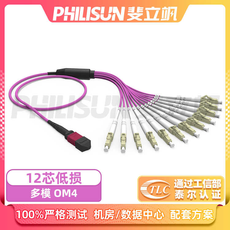 Mpolc Multi-Mode 12-Core Om4 Branch Jumper Mpo High-Density Data Computer Room Wiring Solution Mpolc Multi-Mode 12-Core Om4 Branch Jumper Mpo High-Density Data Computer Room Wiring Solution