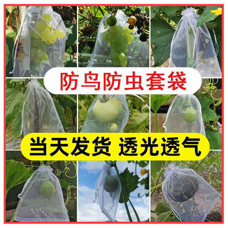 水果防虫网袋防鸟专用网袋西瓜草莓无花果番石榴番茄瓜果保护套袋