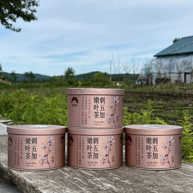 Acanthopanax young leaf tea fresh green healthy eleuthero tea (4g*10) 4 boxes