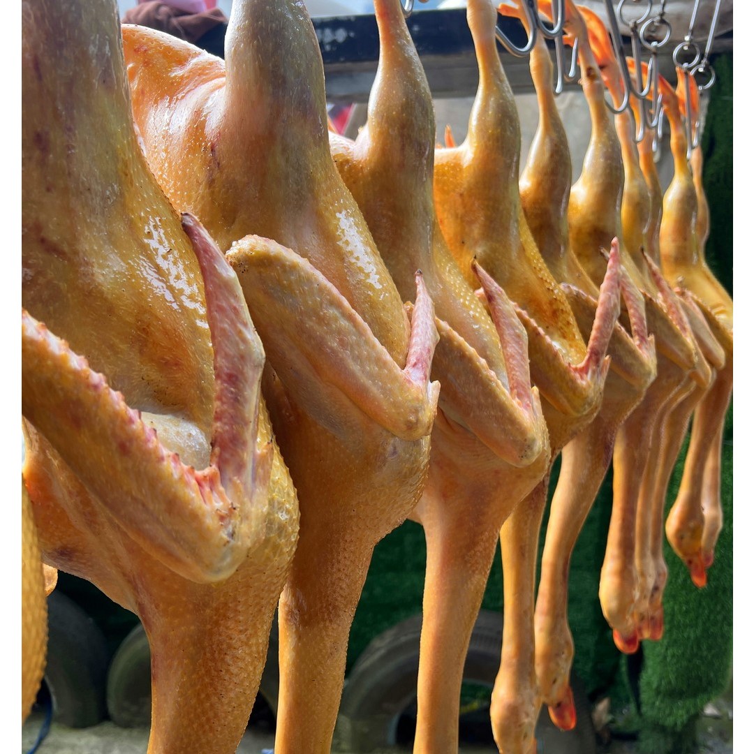 Freshly slaughtered 300-day-old free-range shelduck, yellow skin and red meat - without viscera, net weight of each meat is more than 4 kilograms
