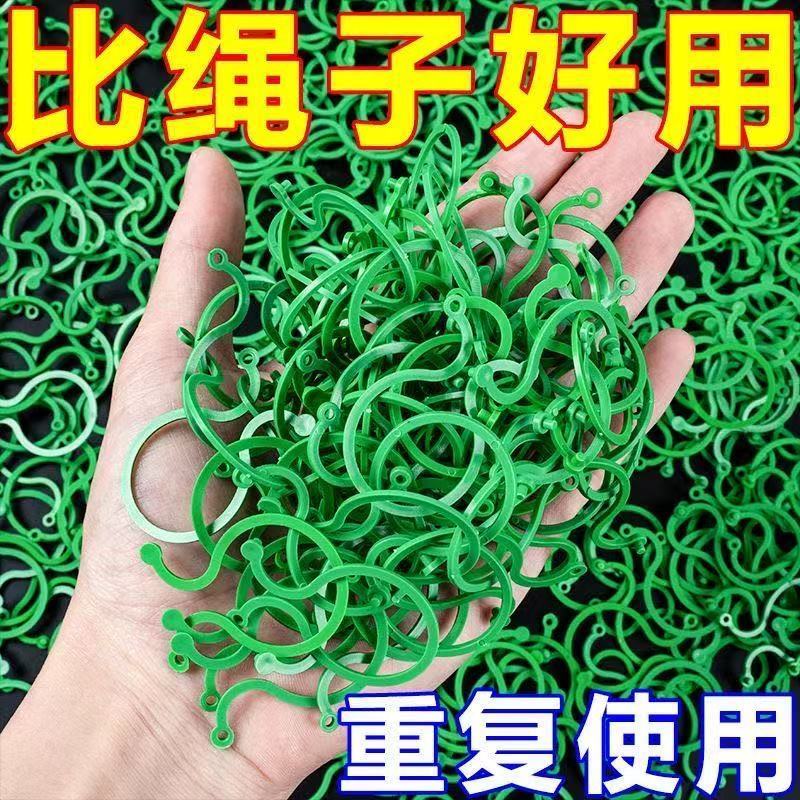 黄瓜西红柿豆角爬藤神器，轻松搞定绿植蔬菜捆绑难题！