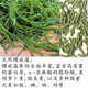 ອາຫານປາຄຳ, ປາປະດັບ, ອາຫານປາຄໍ່, ອາຫານປາເສີມສີ, ອະນຸພາກຂະໜາດໃຫຍ່, ກາງ ແລະ ນ້ອຍ, ນ້ຳບໍ່ຂົມ, ອາຫານປາເຂດຮ້ອນ