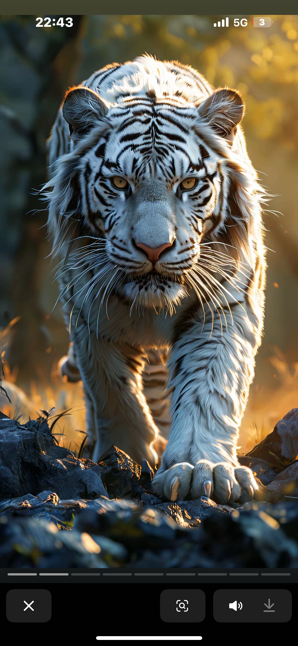 禾奇移蚊器：告别蚊虫烦恼，享受清新夏日!