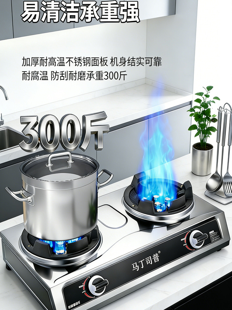 High-Power Gas Stove Double Burner Restaurant Commercial Liquefied Gas Natural Gas Household Stainless Steel Tabletop Gas Stove