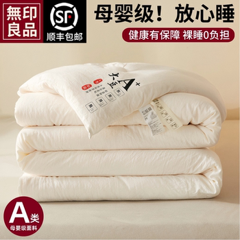 Muji Soy Fiber Quilt, Winter Quilt, Thickened Cotton Quilt Core, Spring and Autumn Single-Person Summer Cooling Air-Conditioning Quilt, Suitable for All Seasons
