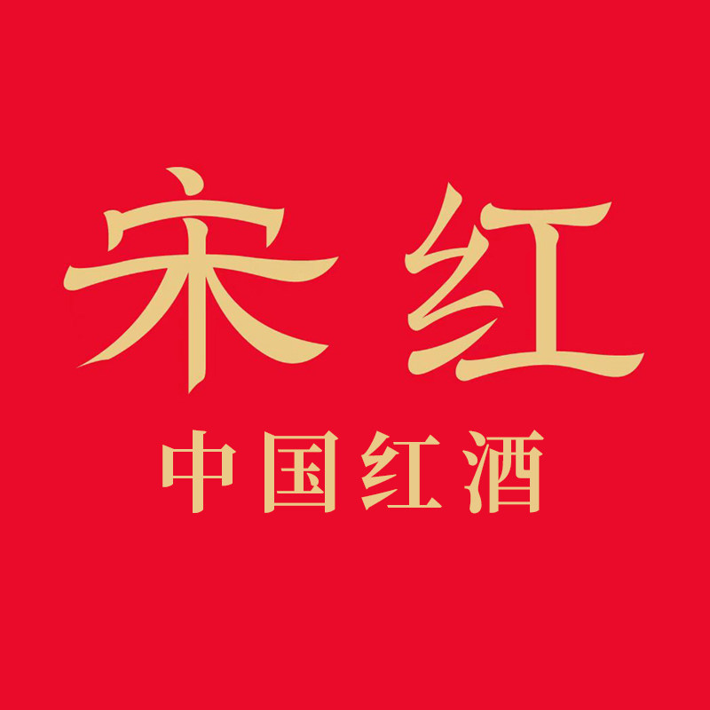 宋红旗舰店的LOGO