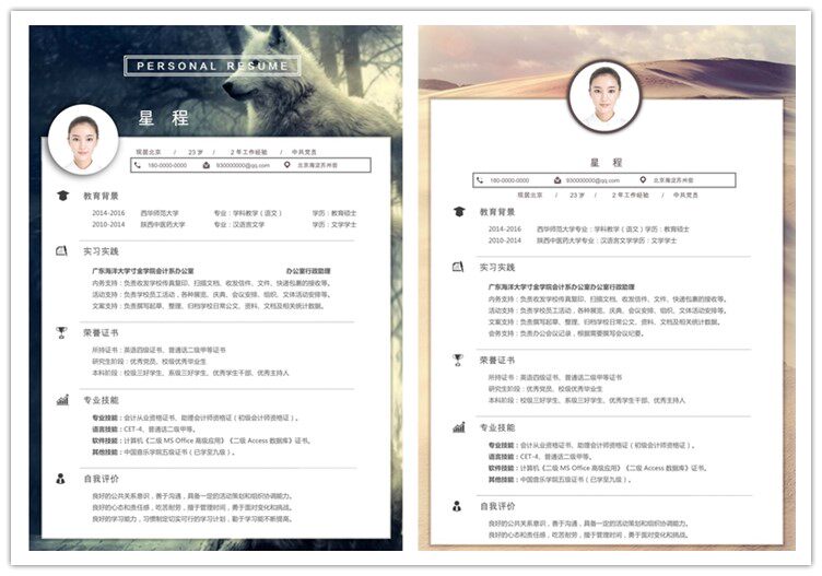 图片[27]-399套简历模板-个人简历模板word社会求职简约应届毕业生大气电子版【电商热销1399】-暗冰资源网