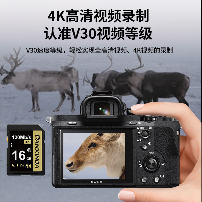 Sd Card 256g Suitable for Canon Camera Memory Card R6R7R8R10 Fuji Xs10Xt5 Memory Card Sd Memory Card