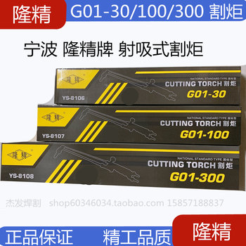 New Ningbo Long Precision Flame Cutting Torch G01-30 Type, G01-100 Type Cutting Torch G03-30 Flame Cutting Torch with