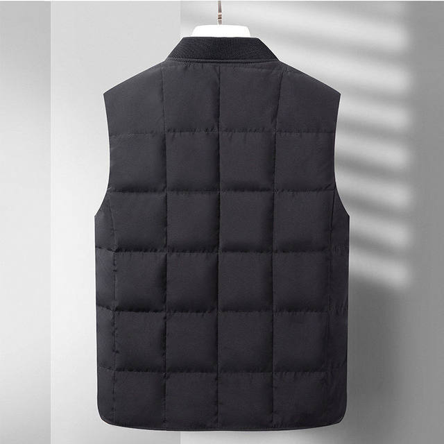 Woodpecker Warm Stand Collar Down Vest Men's Autumn and Winter Fashion Casual Thickened Vest for Middle-aged and Young Solid Color Vest