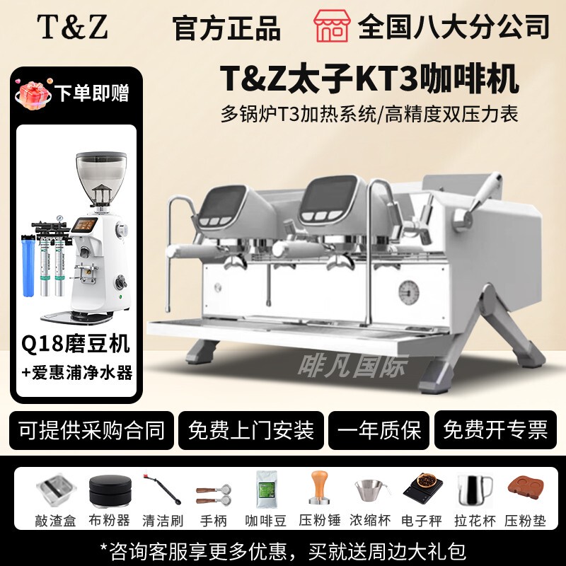 T&Z Taisho Taisho Kt3 Leap Coffee Machine Commercial Italian Semi-Automatic Double Head Hollow Coffee Extraction and Concentration