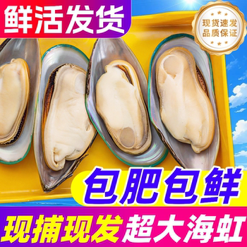 Fresh mussels, big rainbow, fresh sea-caught mussels, mussels, wild shellfish, seafood, aquatic products, sf express 10 pounds