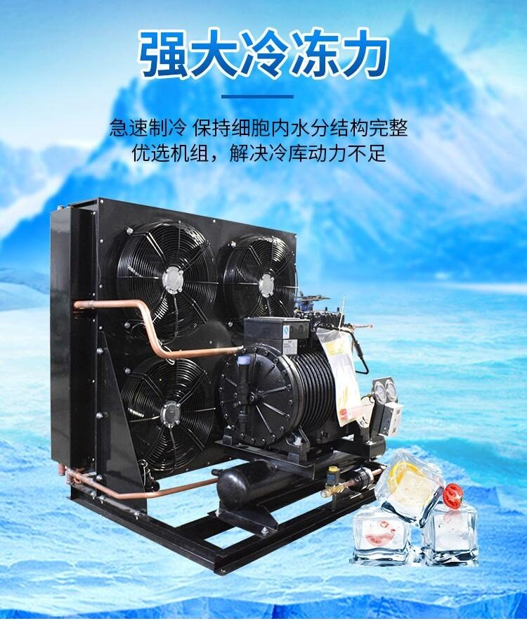 谷黑比型压缩机风冷冷库机组冻库冷柜配件小型保鲜冷藏全套设备(pic5)