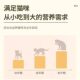 Cat food universal 5 kg package ocean fish flavor salmon flavor cat adult ແລະ kitten food ລາຄາພິເສດ stray cat 10 kg package