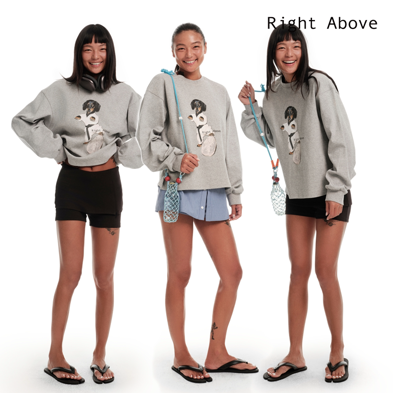 Right Above Original Collaboration Kung Fu Dachshund Puppy Retro Print Autumn Gray Long-Sleeve Sweatshirt Crew Neck