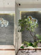 Simulated Horse Drunken Wood Green Plant Landscape Combination Fake Trees Plant under Stairs Landscaping Window Corner Interior Decoration Layout