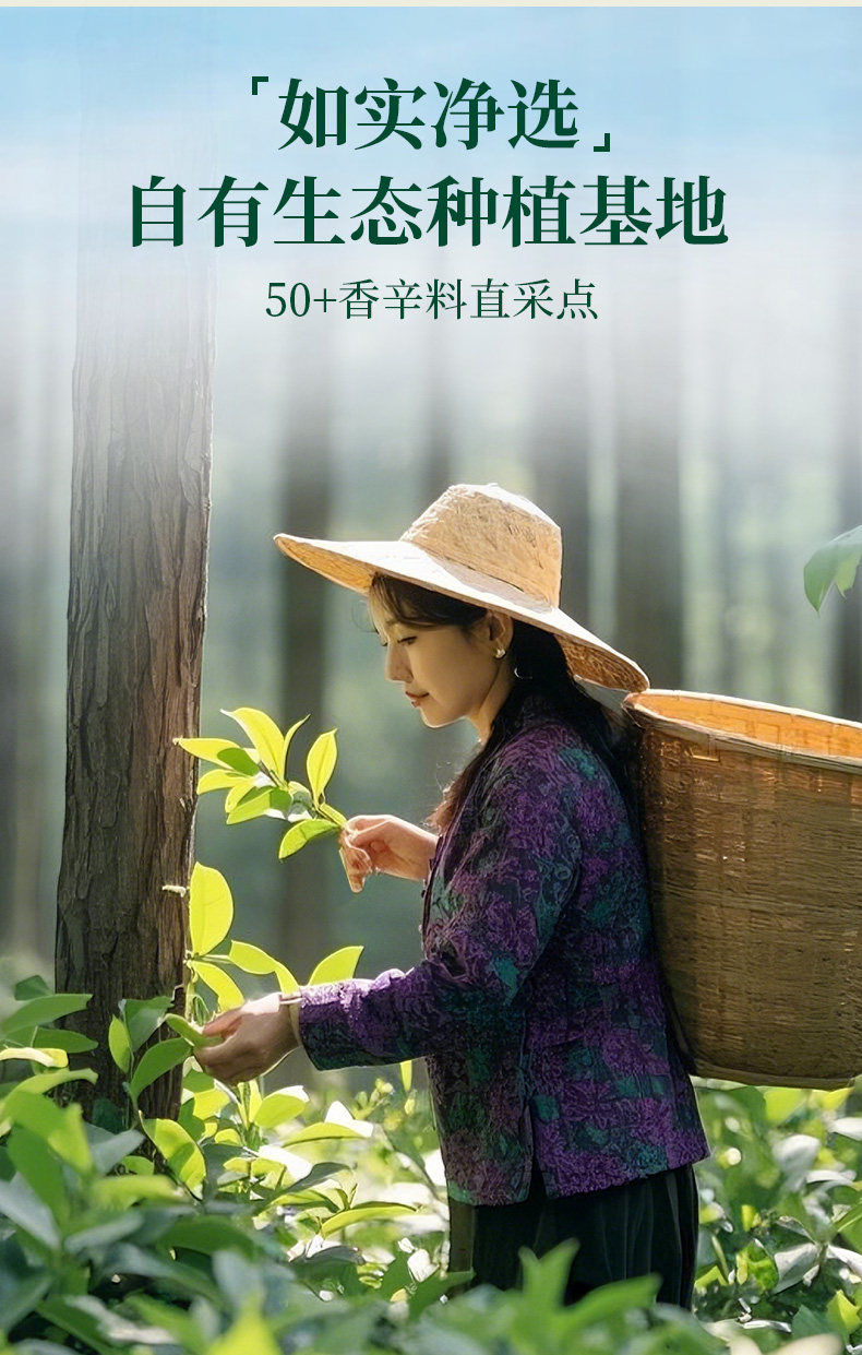 安享好物 安享A级香叶-如实香叶 国标 
